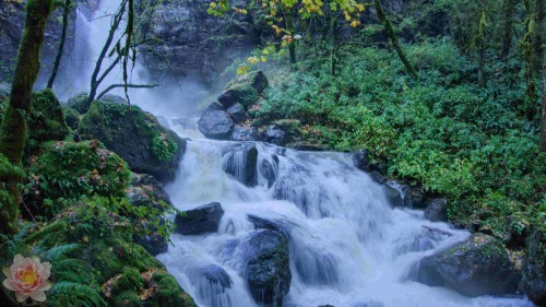 Big-Tree-Creek-Falls.jpg